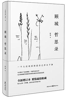 电报汉化_电报汉化_电报汉化