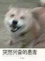纸飞机_纸飞机telegeram下载_纸飞机的折叠方法视频