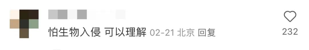 飞机中文版怎么设置_飞机中文_飞机中文包安装