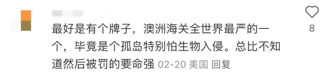 飞机中文版怎么设置_飞机中文_飞机中文包安装