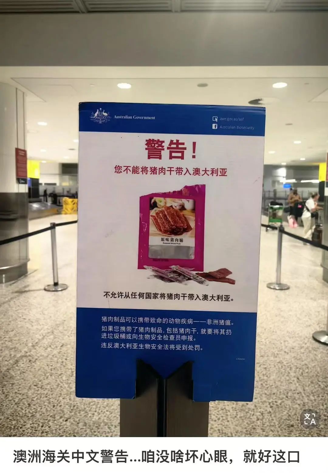 飞机中文_飞机中文包安装_飞机中文版怎么设置