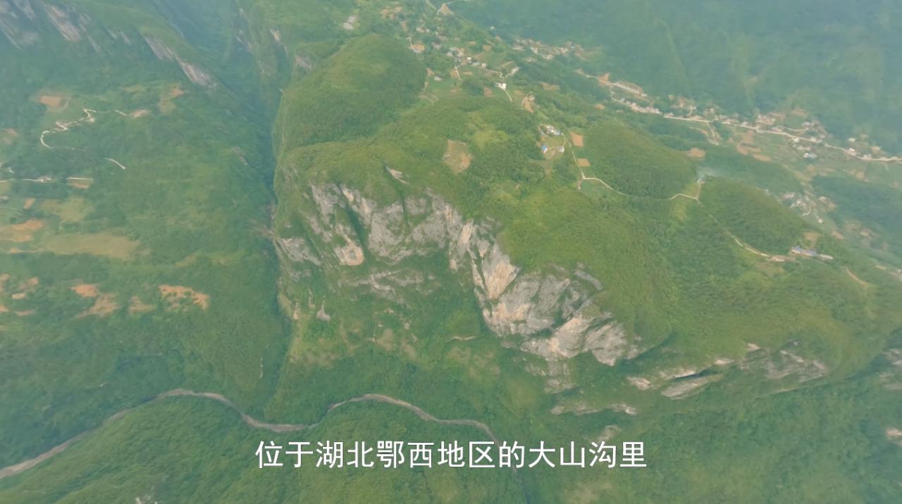 纸飞机开户软件_纸飞机_纸飞机的折叠方法视频