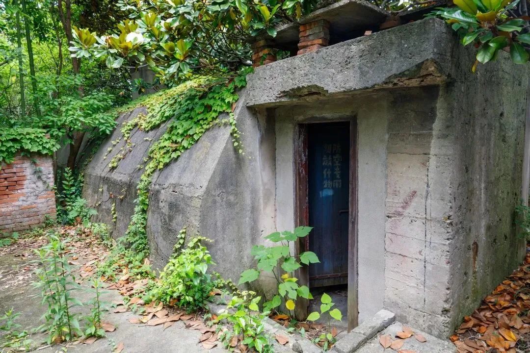 电报_电报下截_电报telegram网站