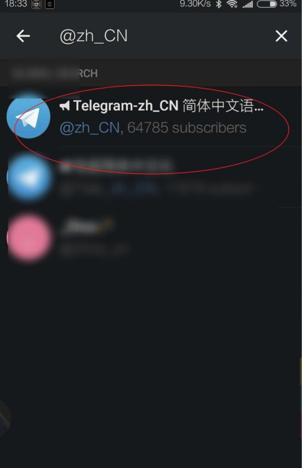 飞机中文设置_飞机中文_飞机中文语言包