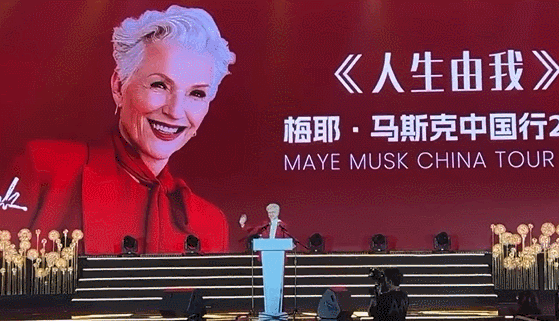 飞机中文语言包_飞机中文_飞机中文版下载官网