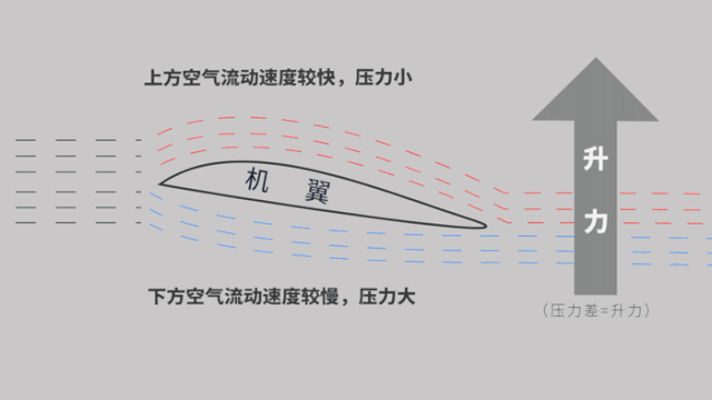 纸飞机by潭石小说_纸飞机_纸飞机下载