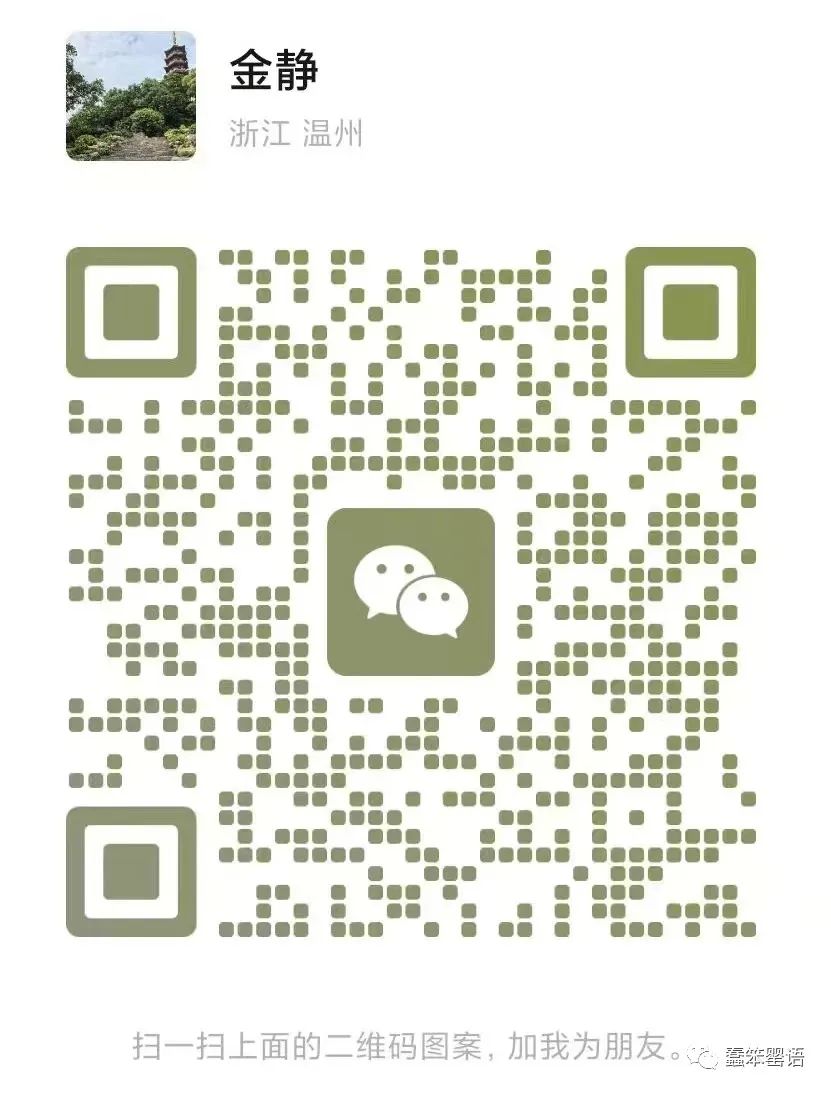 飞机中文语言包_飞机中文_飞机中文版下载官网