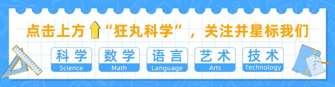 纸飞机下载_纸飞机_纸飞机telegeram