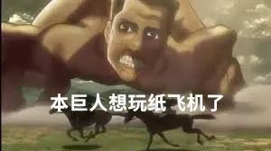 纸飞机_纸飞机下载_纸飞机telegeram