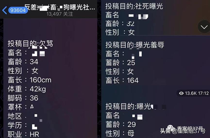 电报汉化_电报汉化_电报汉化