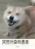 纸飞机账户购买_纸飞机开户软件_纸飞机