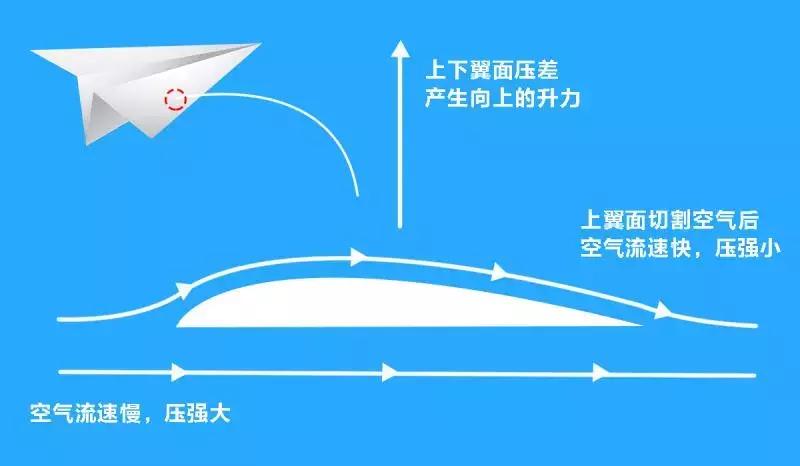 纸飞机开户软件_纸飞机_纸飞机的折叠方法