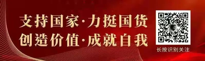 飞机中文包链接_飞机中文语言包_飞机中文