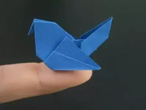 纸飞机_纸飞机telegeram_纸飞机的折叠方法