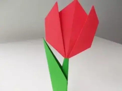 纸飞机telegeram_纸飞机的折叠方法_纸飞机